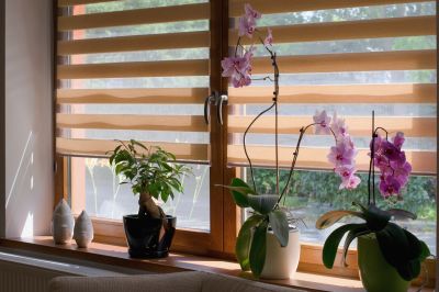 Indoor Shutters Installation