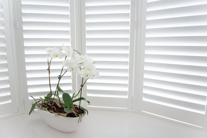 Shutters Installation in Olathe, KS